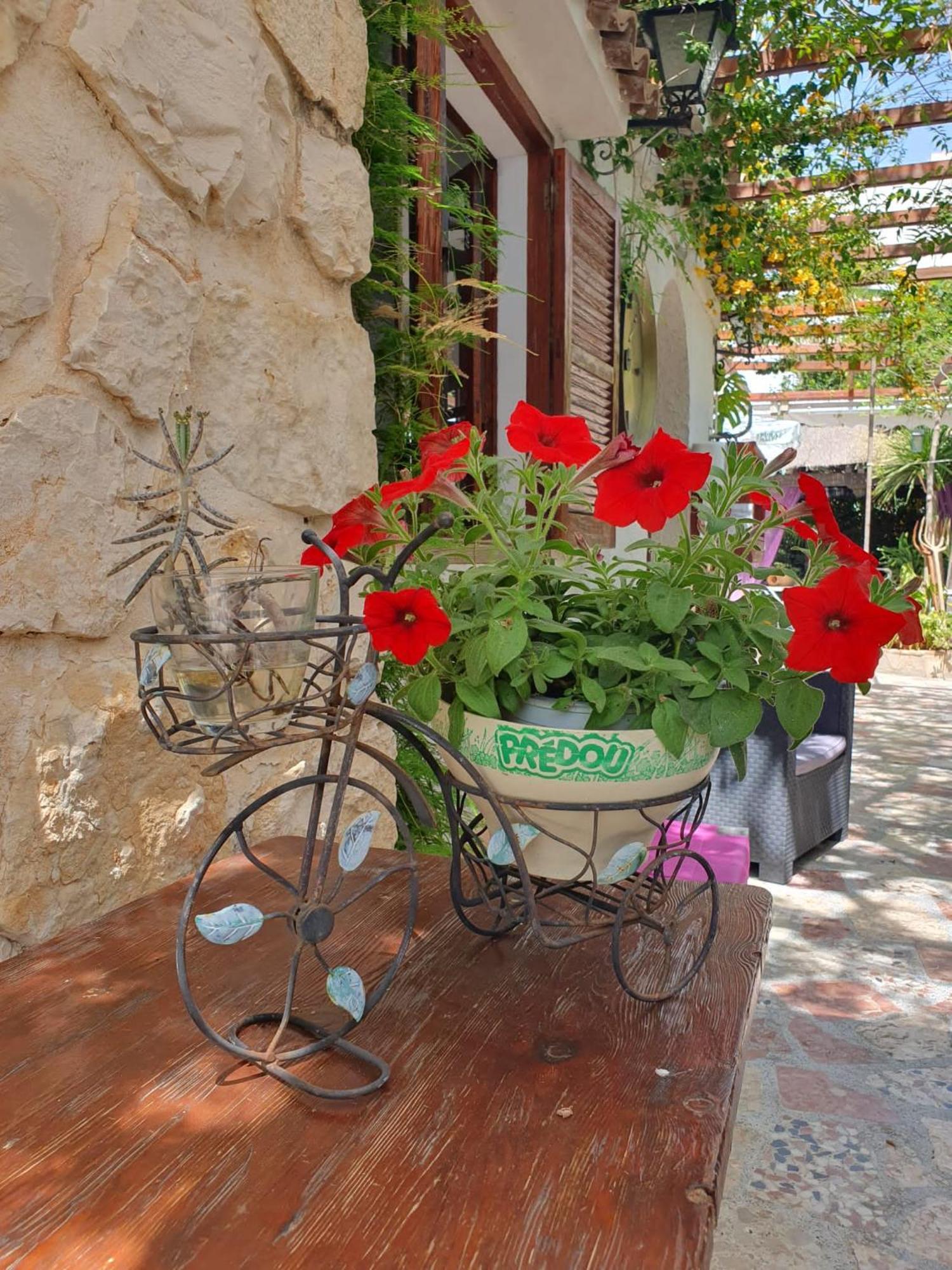 Hostal Mi Campana Denia Exterior foto